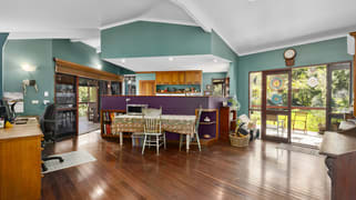 Eungella NSW 2484