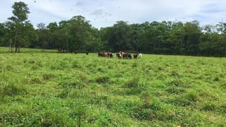 South Innisfail QLD 4860