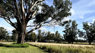 81 Pollocks Lane Quirindi NSW 2343