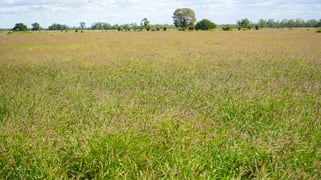 Marionvale, Surat Yuleba Road Surat QLD 4417