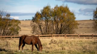 3609 Mid Western Highway Blayney NSW 2799