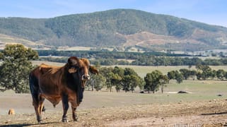 Lot 8 Ben Major Track Mount Lonarch VIC 3468 Lot 8 Ben Major Track Mount Lonarch VIC 3468