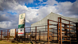 1482 Back Creek Road, Kingsvale (Via) Young NSW 2594