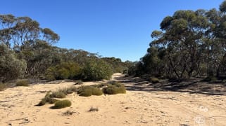 Lot 31 Black Hill Road Cambrai SA 5353