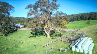 Dorrigo NSW 2453
