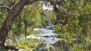 Dorrigo NSW 2453 Dorrigo NSW 2453