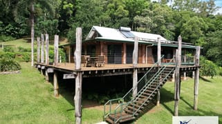 2529 Cape Tribulation Bloomfield Rd Bloomfield QLD 4895