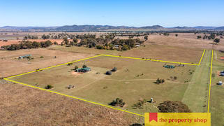 93 Williams Road Gulgong NSW 2852