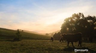 165 Sanders Road Garfield North VIC 3814