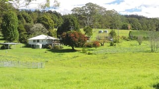 Dorrigo NSW 2453