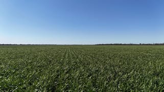 Toobeah QLD 4498