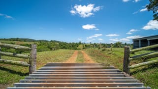 Lot 10 Camp Creek Road Camp Creek QLD 4871