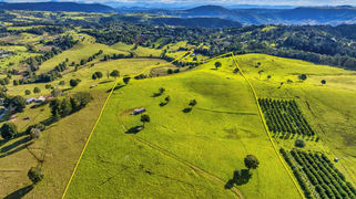 1696 Beechmont Road Beechmont QLD 4211