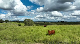 31791 Bruce Highway Booyal QLD 4671