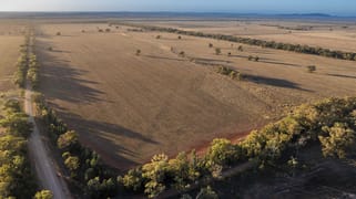 1489 Carlisle-Trundle Road Trundle NSW 2875