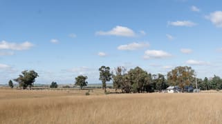 "Glen Alvin" & "Lockyer" Elong Elong NSW 2831
