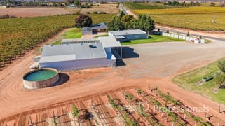 225 Stewart Road Red Cliffs VIC 3496