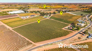 225 Stewart Road Red Cliffs VIC 3496