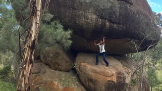 1717 Old Stanthorpe Road Cherry Gully QLD 4370