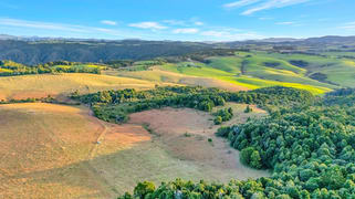 459 Dome Road Dorrigo NSW 2453