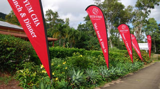 Red Fish Asian Cuisine, 252 Shute Harbour Road Cannonvale QLD 4802