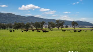 7458 Bylong Valley Way Bylong NSW 2849