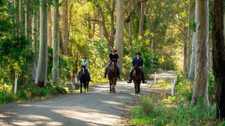50 Comberton Grange Road Falls Creek NSW 2540