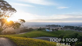 56 Chalk Hill Road Clarendon SA 5157