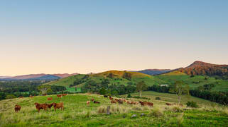 488 Commissioners Flat Road Peachester QLD 4519