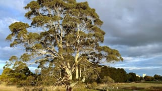 Cross-Forest Road Cobden VIC 3266