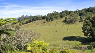 291 Upper Crystal Creek Road Crystal Creek NSW 2484 291 Upper Crystal Creek Road Crystal Creek NSW 2484