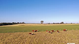322 Stockdale - Fernbank Road Stockdale VIC 3862