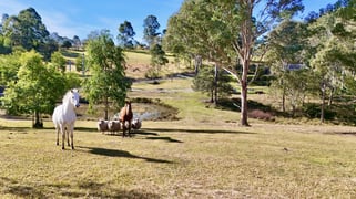 484b Comleroy Road Kurrajong NSW 2758