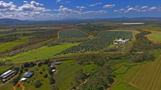 44 Carman Road Mareeba QLD 4880