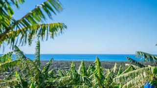 20 Puhos Road Sandy Beach NSW 2456