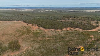 20 Sarsfield Road Tullamore NSW 2874 20 Sarsfield Road Tullamore NSW 2874