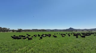 1428 Guinema Road Bugaldie NSW 2357 1428 Guinema Road Bugaldie NSW 2357