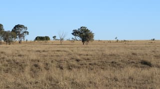 47 EUTHULLA ROAD Roma QLD 4455