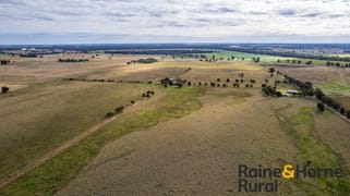 223 Ellis Road Gilgandra NSW 2827