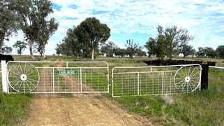 "Thirlmere" 450 Bridges Road Gunnedah NSW 2380