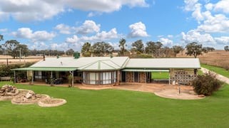 126 Goolma Road Gulgong NSW 2852