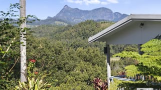 1678 Numinbah Road Numinbah NSW 2484