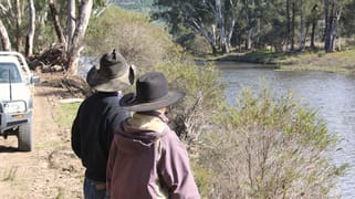 Lot 36 Reedy Creek Road Tenterfield NSW 2372