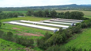 Tolga QLD 4882