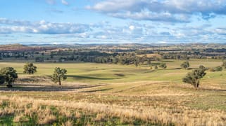 14 Packs Grant Road Cowra NSW 2794
