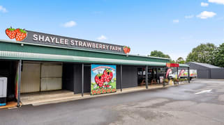 Atherton QLD 4883