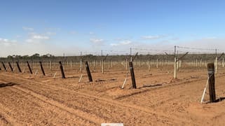 178 Arumpo Road Mourquong NSW 2739
