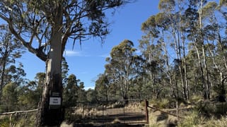 . Truelands Road Campbell Town TAS 7210