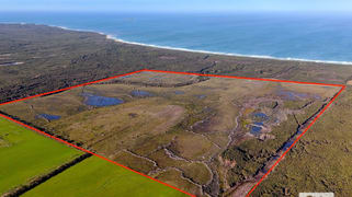 Sea Elephant Road Sea Elephant TAS 7256