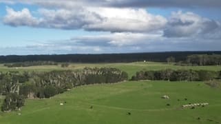 767 Mount Stanley Road Lymwood TAS 7256